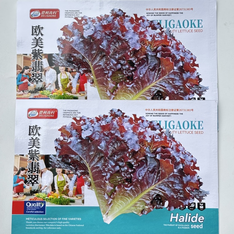 欧美紫翡翠生菜种子四季种植耐高温室外阳台生菜种子