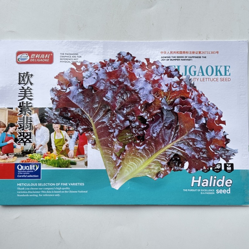 欧美紫翡翠生菜种子四季种植耐高温室外阳台生菜种子
