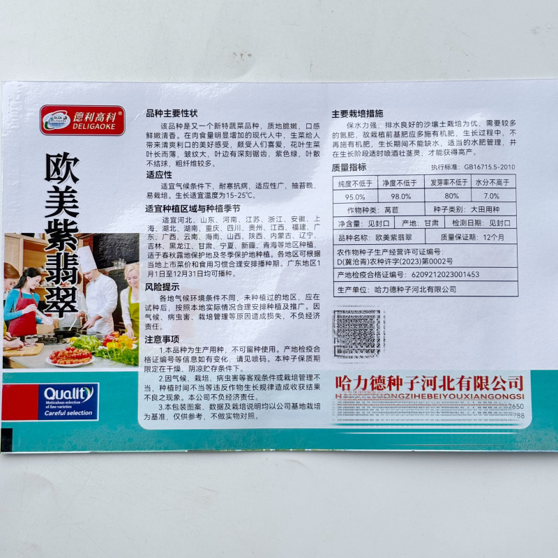 欧美紫翡翠生菜种子四季种植耐高温室外阳台生菜种子