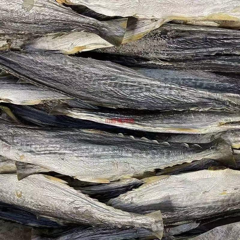 马鲛鱼干地摊电商批发马鲛鱼干干鱼鲅鱼干马友鱼干干鱼