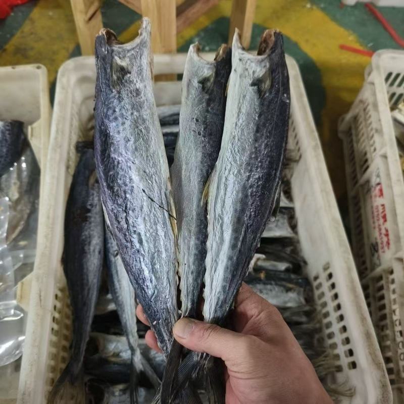 马鲛鱼干地摊电商批发马鲛鱼干干鱼鲅鱼干马友鱼干干鱼