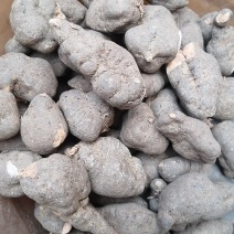 三叶青精品干货