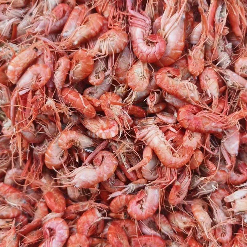 渤海湾爪虾产地直发鹰爪虾狗虾鲁北海产批发市场