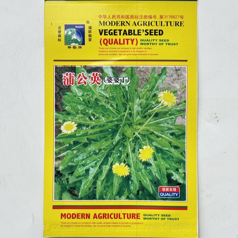 野生蒲公英种子的种籽种植婆婆丁浦公英四季盆栽食用蔬菜野菜