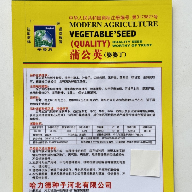 野生蒲公英种子的种籽种植婆婆丁浦公英四季盆栽食用蔬菜野菜