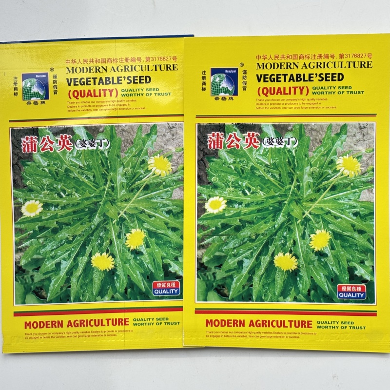 野生蒲公英种子的种籽种植婆婆丁浦公英四季盆栽食用蔬菜野菜