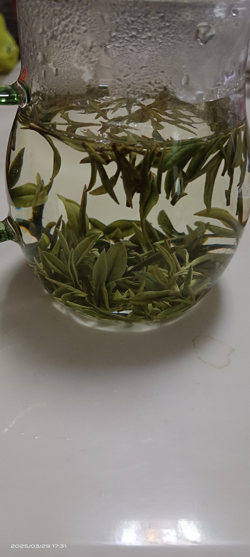 2025新茶