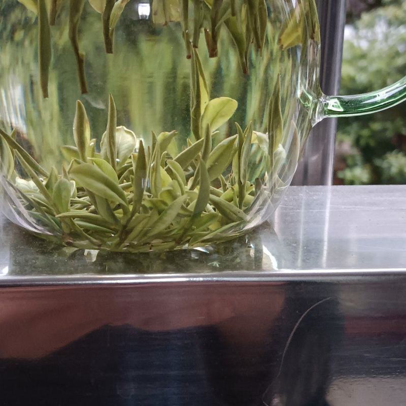 2025新茶