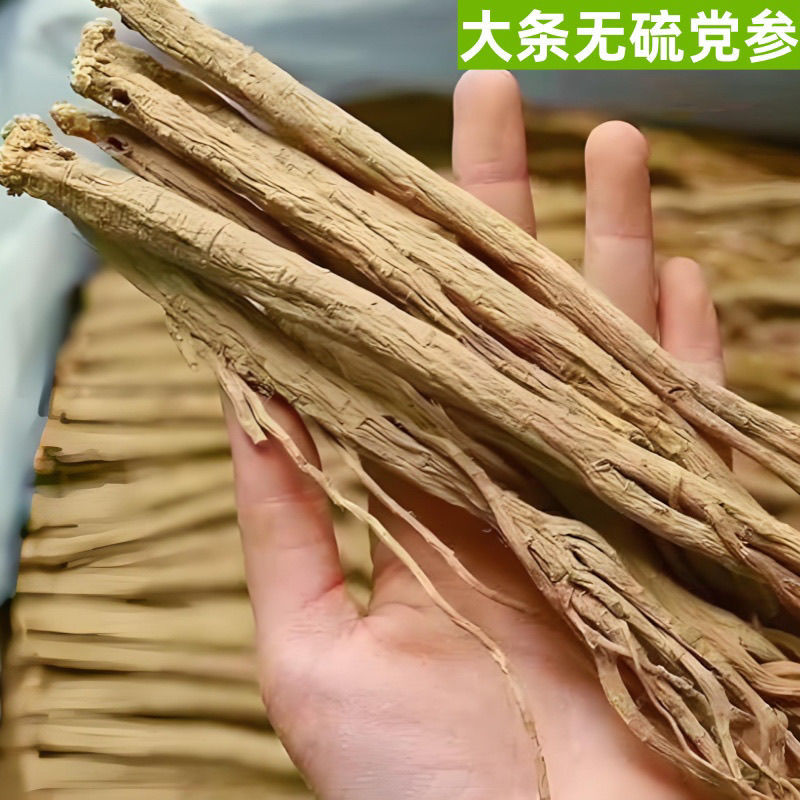 临洮白条党参货真价实