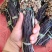 云南丘北蕨菜干甄选优质原料纯手工制作自然晾晒可追溯