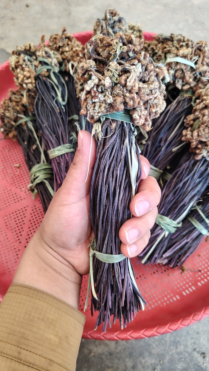 云南丘北蕨菜干甄选优质原料纯手工制作自然晾晒可追溯
