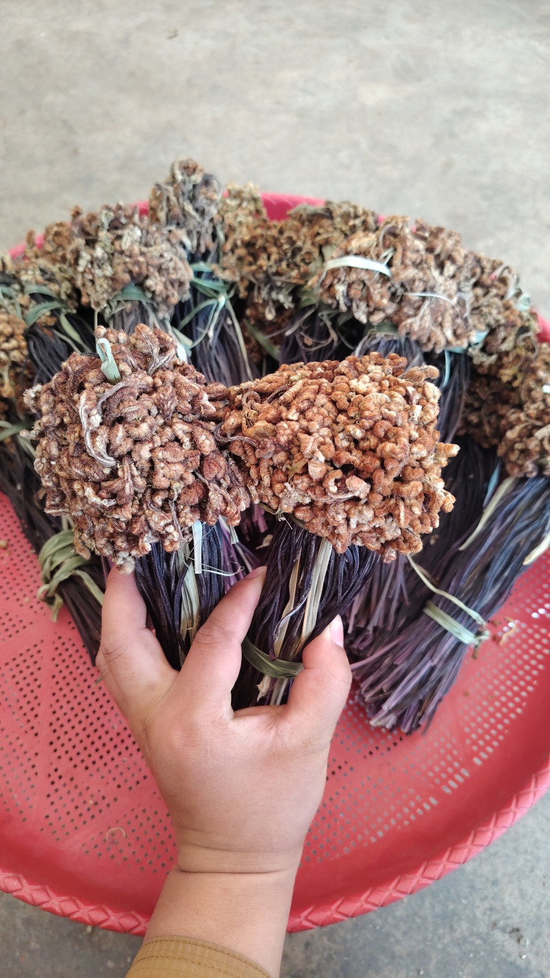 云南丘北蕨菜干甄选优质原料纯手工制作自然晾晒可追溯