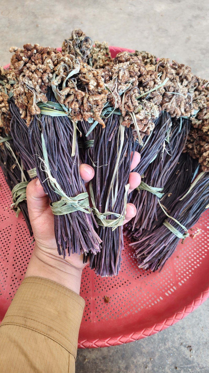 云南丘北蕨菜干甄选优质原料纯手工制作自然晾晒可追溯