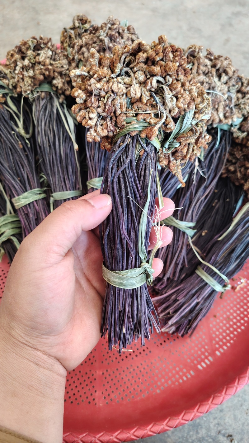 云南丘北蕨菜干甄选优质原料纯手工制作自然晾晒可追溯