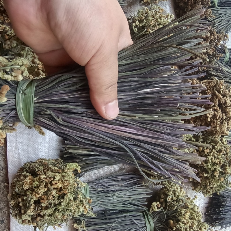 云南丘北蕨菜干甄选优质原料纯手工制作自然晾晒可追溯