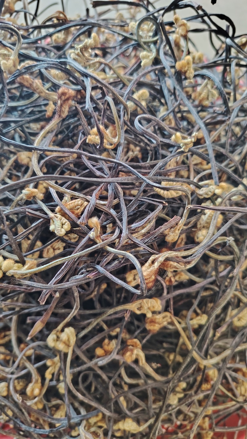 云南野生蕨菜干散菜，2025新上市，百家菜，量大从优