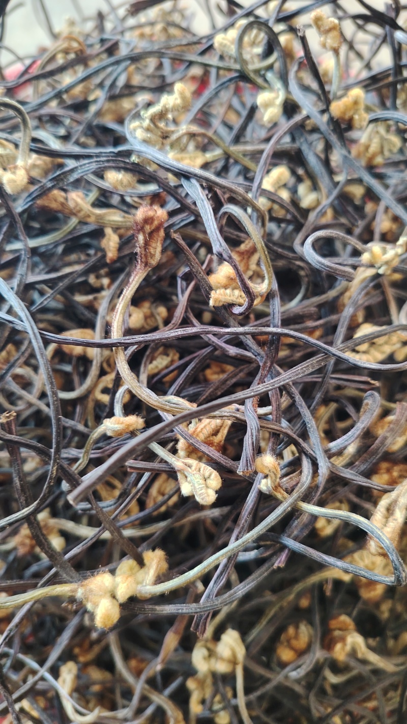 云南野生蕨菜干散菜，2025新上市，百家菜，量大从优