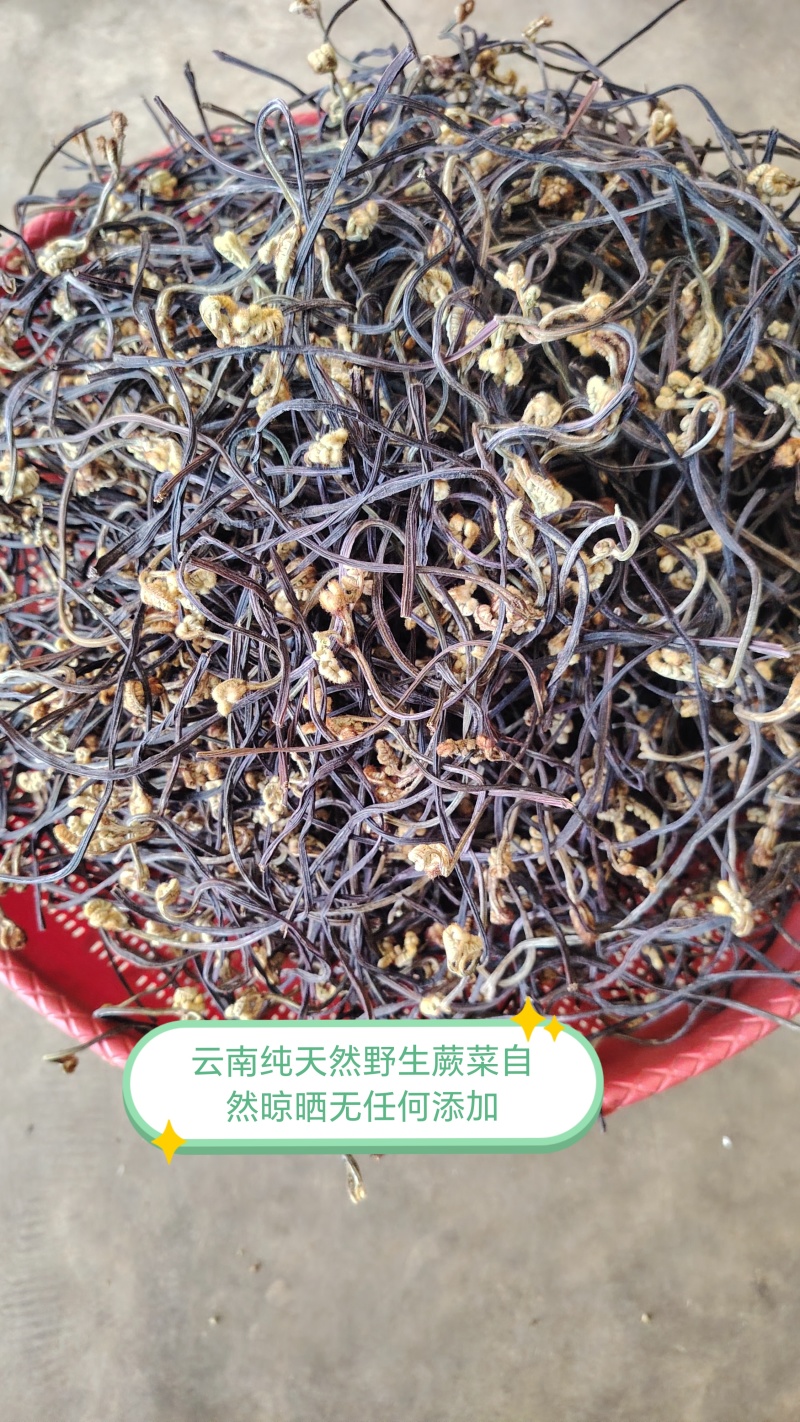 云南野生蕨菜干散菜，2025新上市，百家菜，量大从优