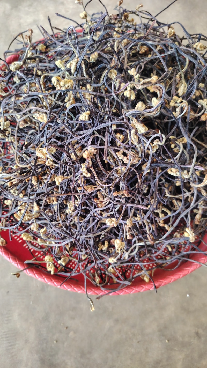 云南野生蕨菜干散菜，2025新上市，百家菜，量大从优