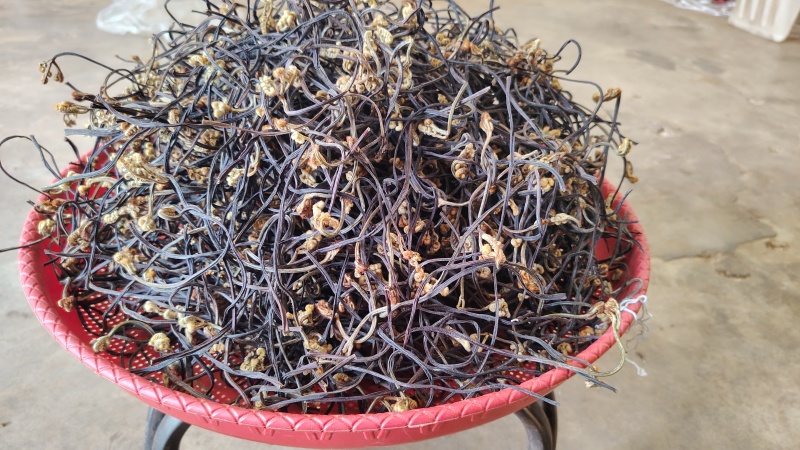 云南野生蕨菜干散菜，2025新上市，百家菜，量大从优