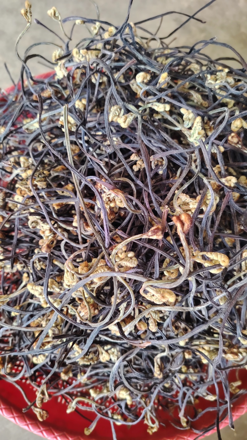 云南野生蕨菜干散菜，2025新上市，百家菜，量大从优