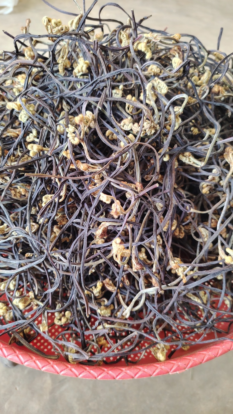 云南野生蕨菜干散菜，2025新上市，百家菜，量大从优