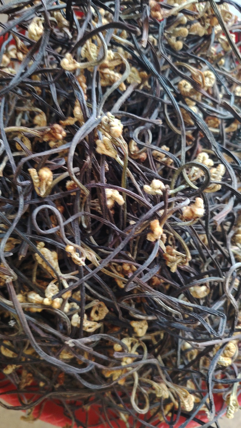 云南野生蕨菜干散菜，2025新上市，百家菜，量大从优