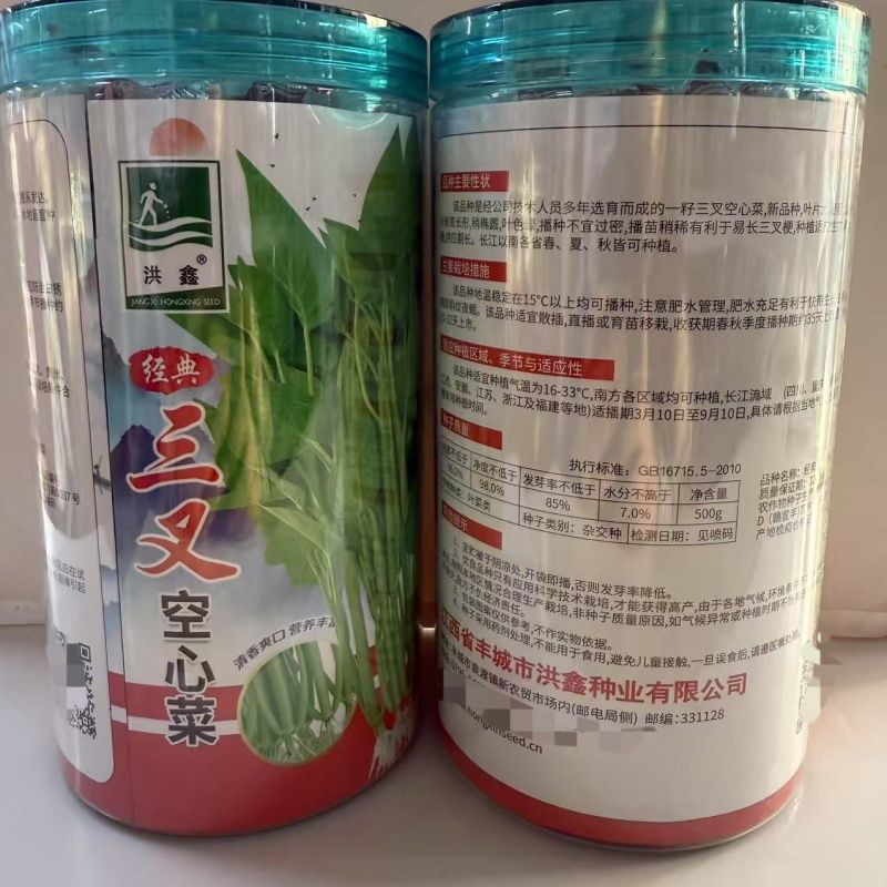 洪鑫经典三叉空心菜种子春夏秋三季播通心菜种籽高产盆栽
