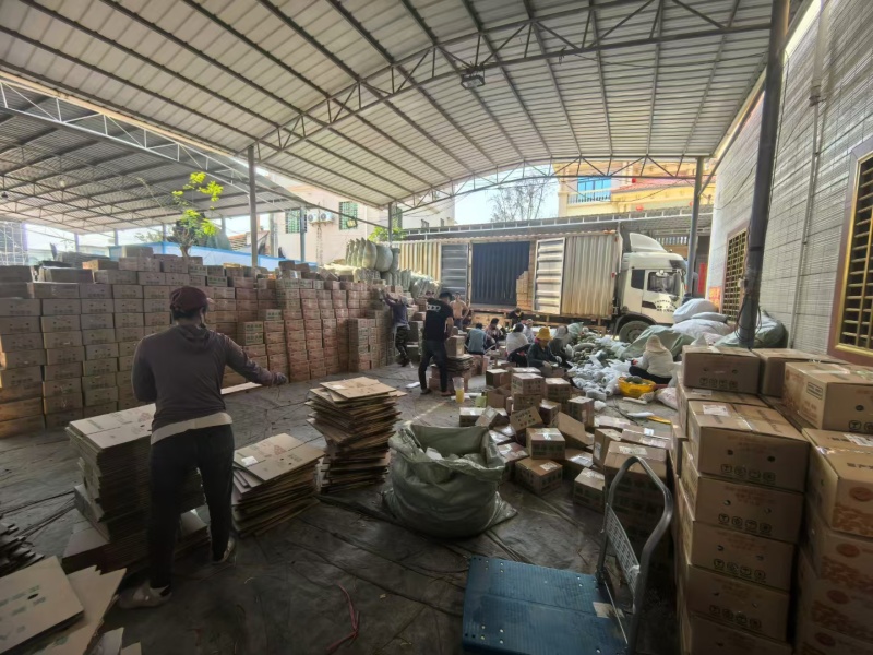 海南网纹瓜一件代发产地直发一手货源对接各大电商平台