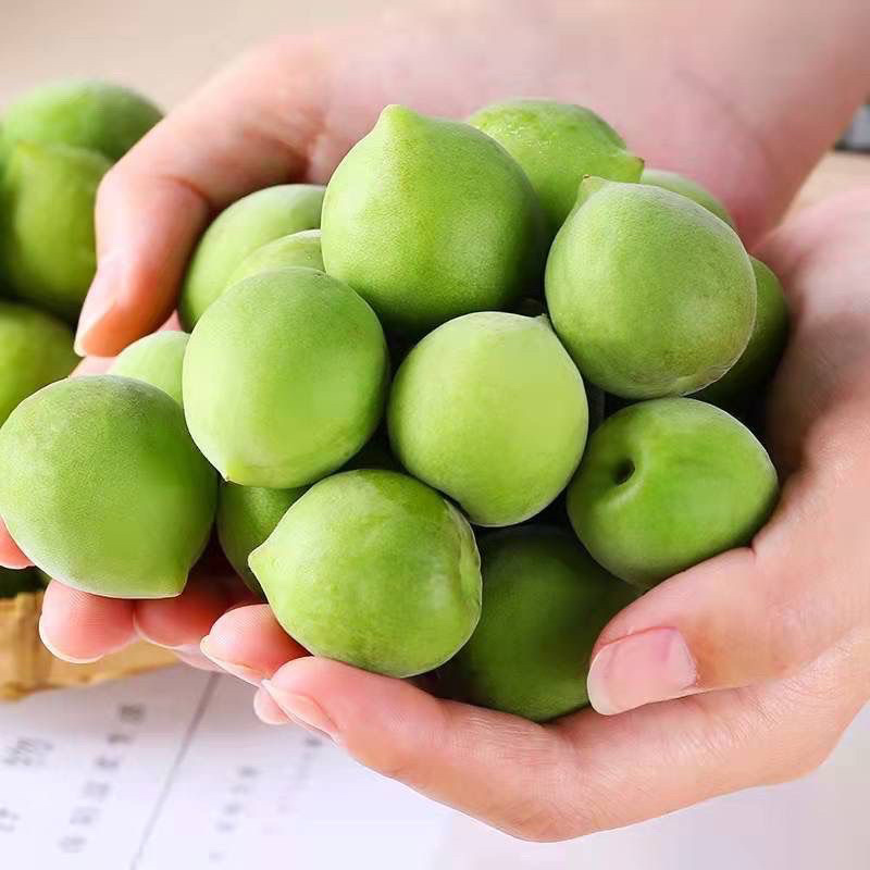 正宗诏安青梅青梅鲜果泡酒青梅露酸梅子