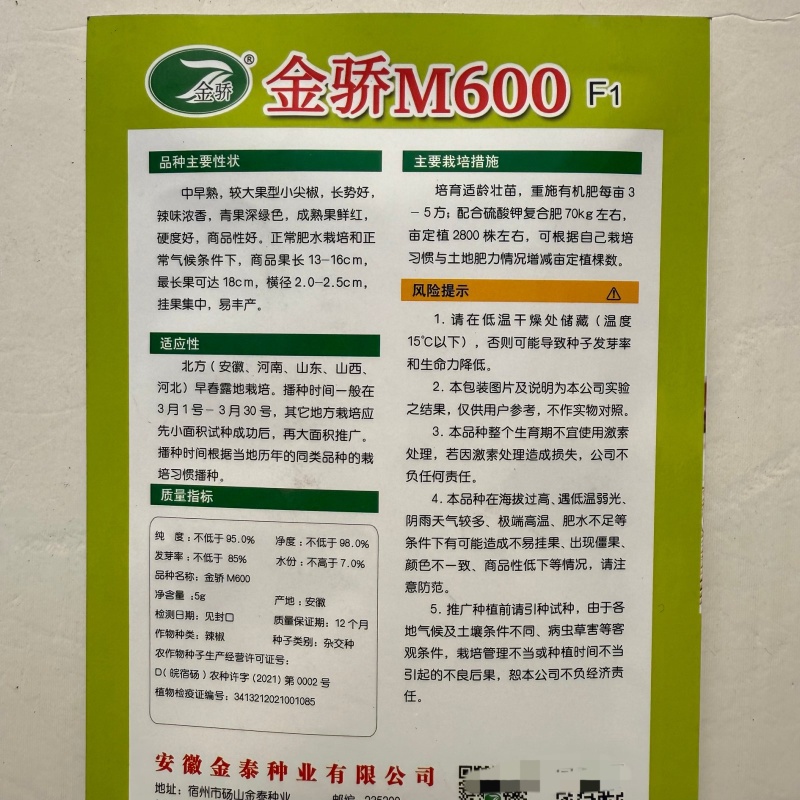 金骄M600美人椒种子中早熟辣味浓香大果高产硬度好耐运