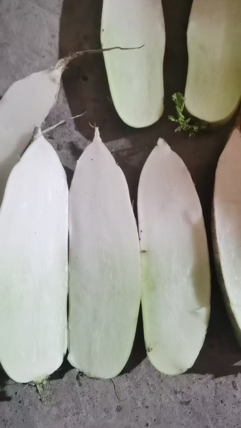 白萝卜泥货，水洗货大量供应，市场，超市，电商养殖都可以