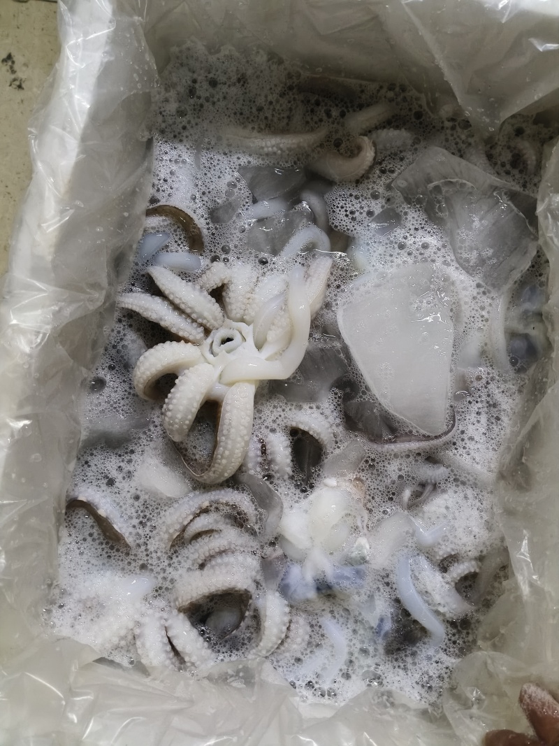 大墨鱼头，，一个一斤以上