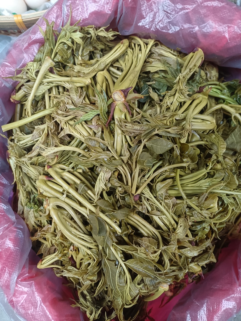 香椿芽麻阳农夫直发露天野生春木芽