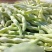 平度芸豆大量上市了