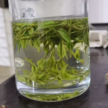 安吉白茶原产地的安吉白茶自产自销，品质保证
