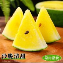 【实力牛商推荐】特小凤西瓜头茬产地直发对接批发商