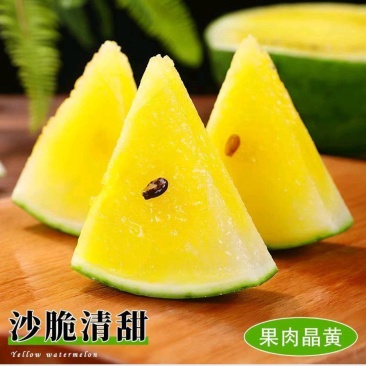 【实力牛商推荐】特小凤西瓜头茬产地直发对接批发商
