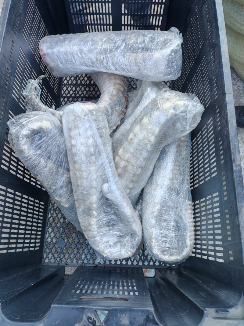 鳄鱼场批发零售鳄鱼肉