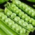 【豌豆】青豌豆湖北豌豆角豌豆甜豌豆保证质量价格电联