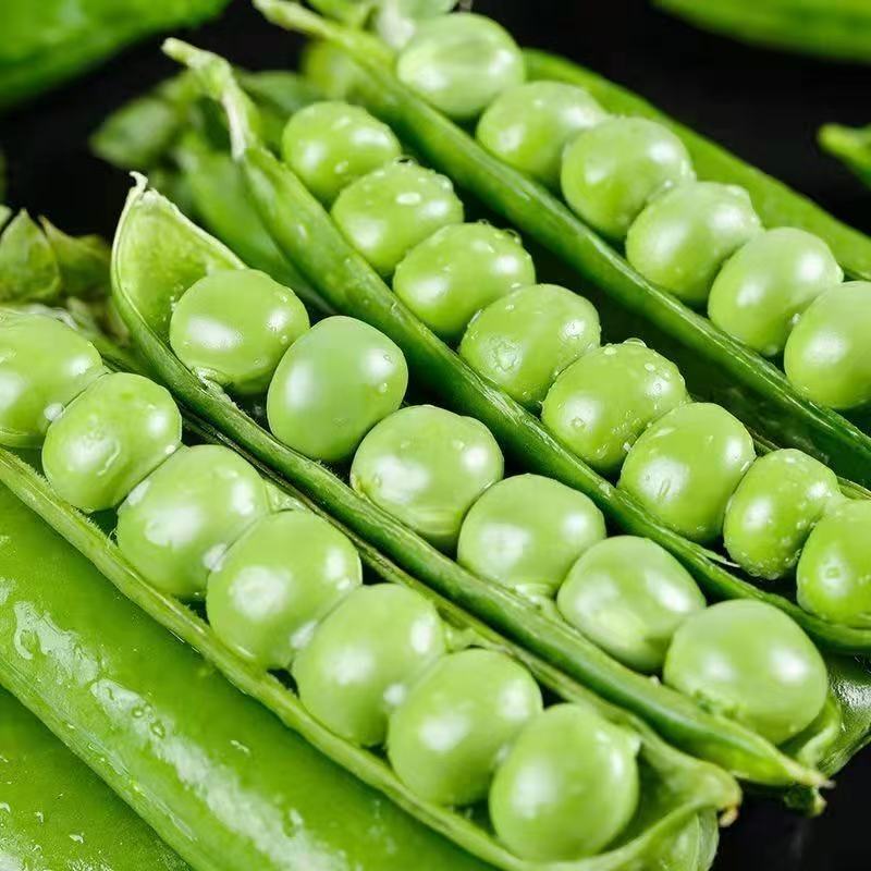 【豌豆】青豌豆湖北豌豆角豌豆甜豌豆保证质量价格电联