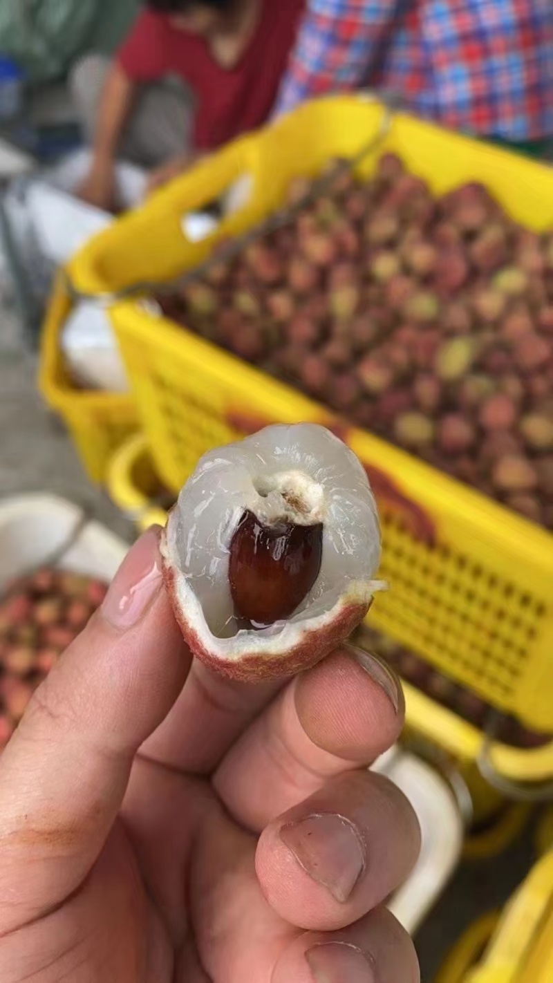 黑叶荔枝大量上市口感非常甜，颜色鲜红，要货老板可以来电联