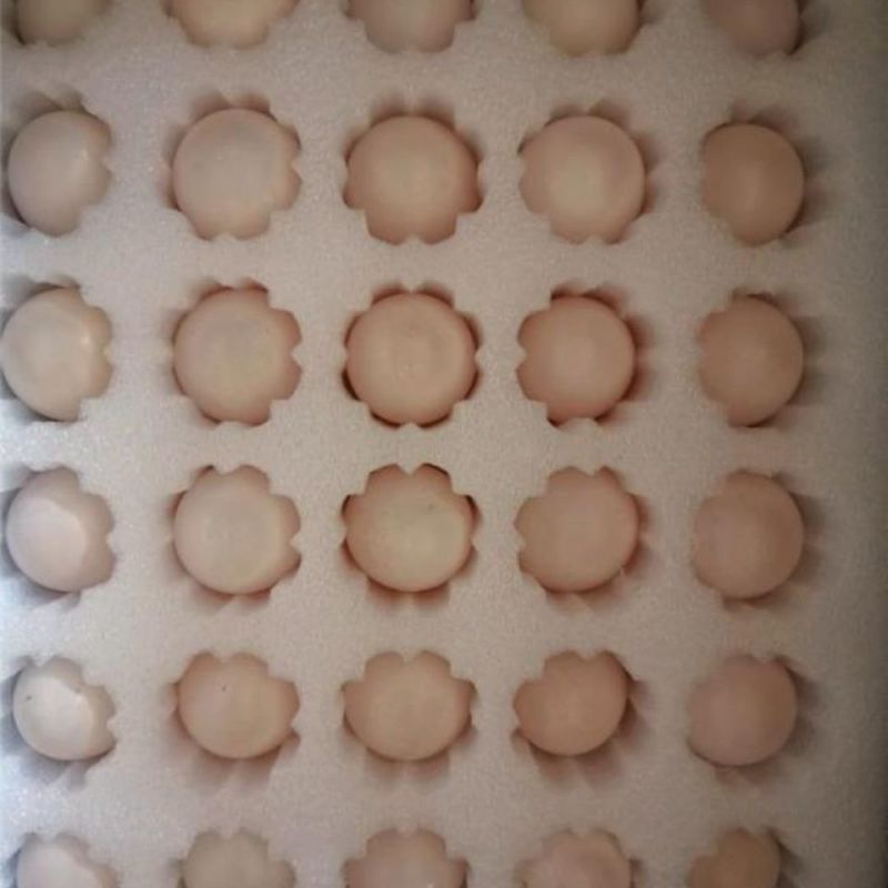 鸽子蛋2块一枚