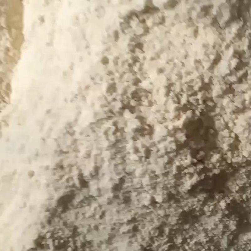 发酵豆渣