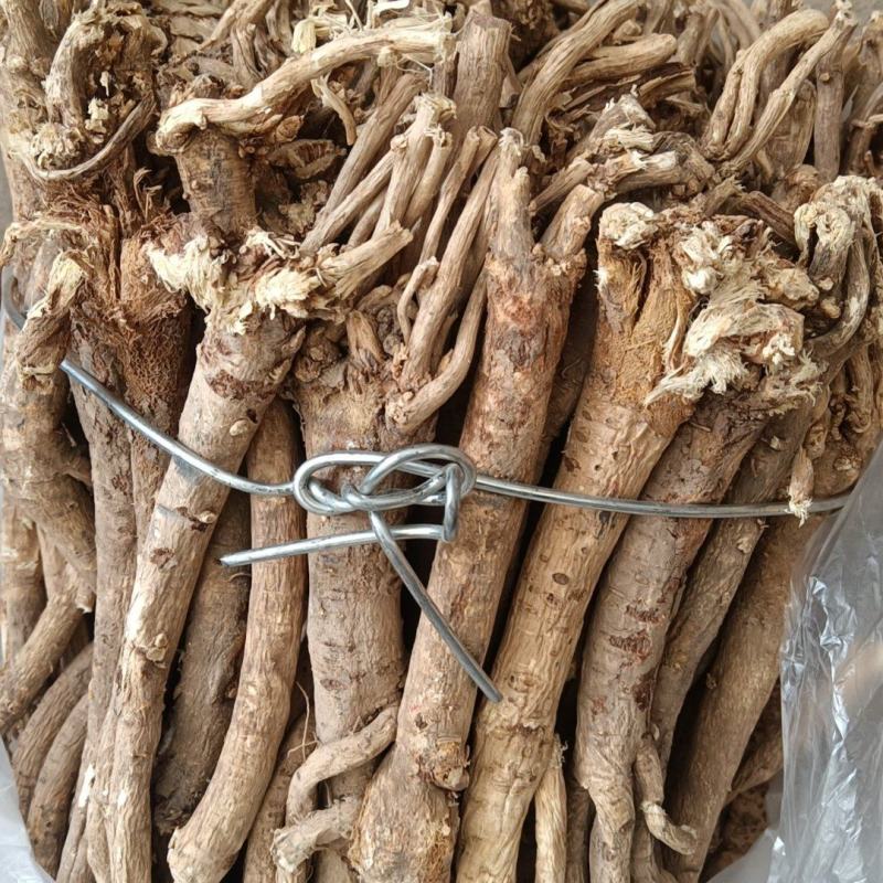 十年以上野生老黄芪个头大，心黄无空心对接全国客商欢迎采购
