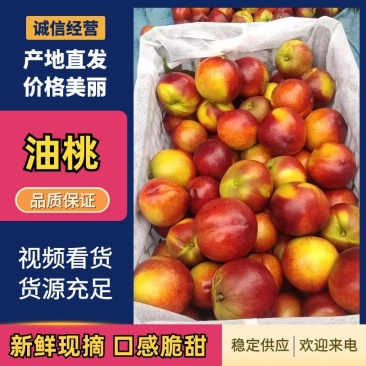 【实力推荐】油桃。脆甜黄心油桃货源充足。质量保证！