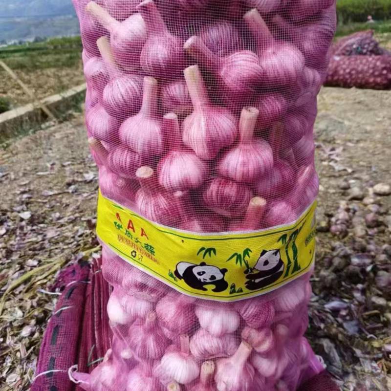精品云南扒皮大蒜，货量充足，产地直发，欢迎客商来电咨询