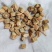 【精品】白条党参一手货源可视频看货量大从优