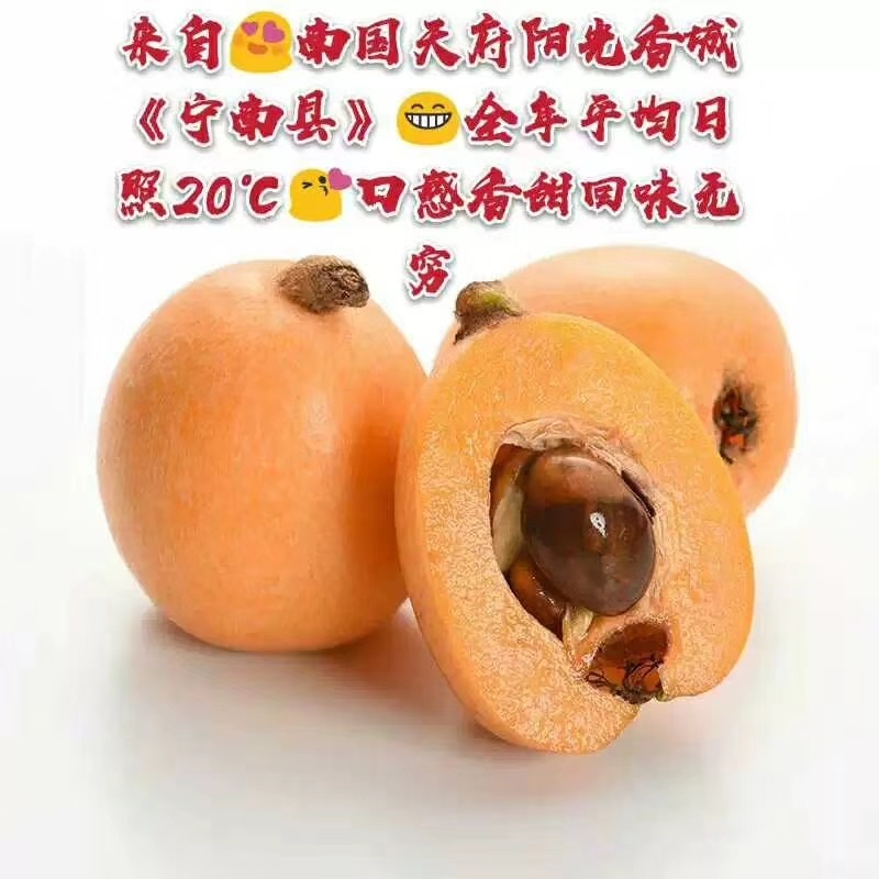 枇杷上市了，现货供应