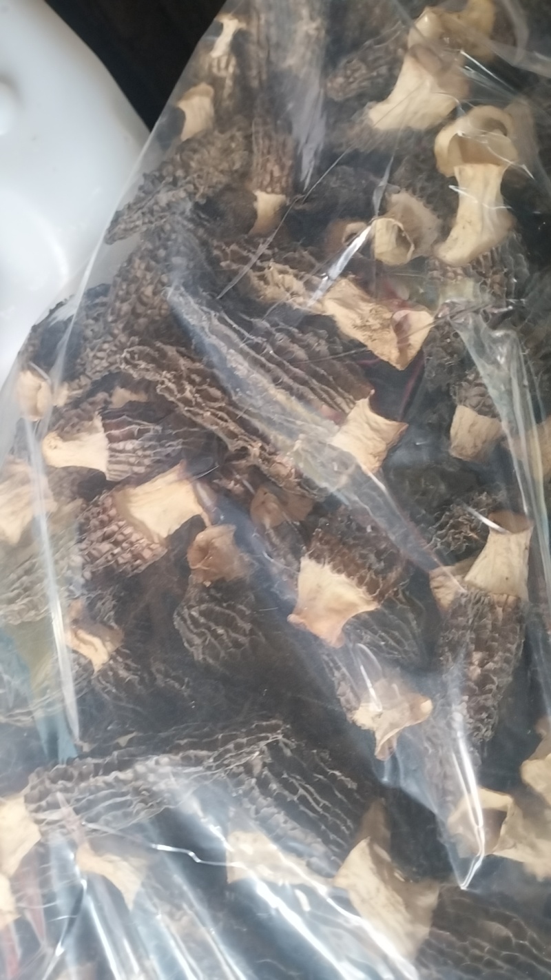批发羊肚菌，一手货源，全国代收代卖，对接商超，货源稳定